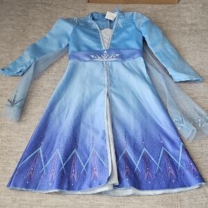 Disney Frozen-Inspired Blue and Purple Costume Dress